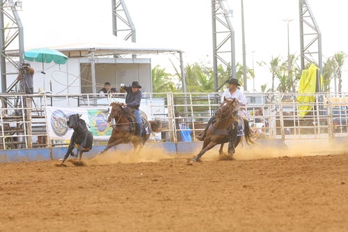PAGODE ZORRO RTJ